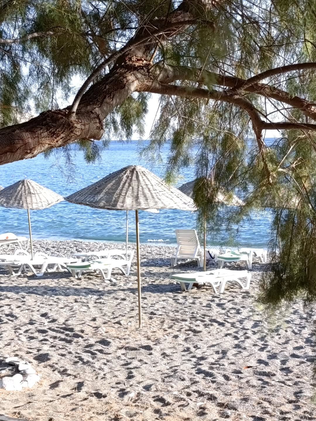 Bağ Evi Apart fotoğraf 11