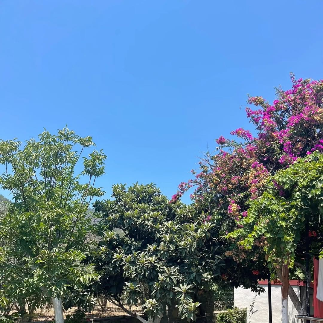 Bağ Evi Apart fotoğraf 18