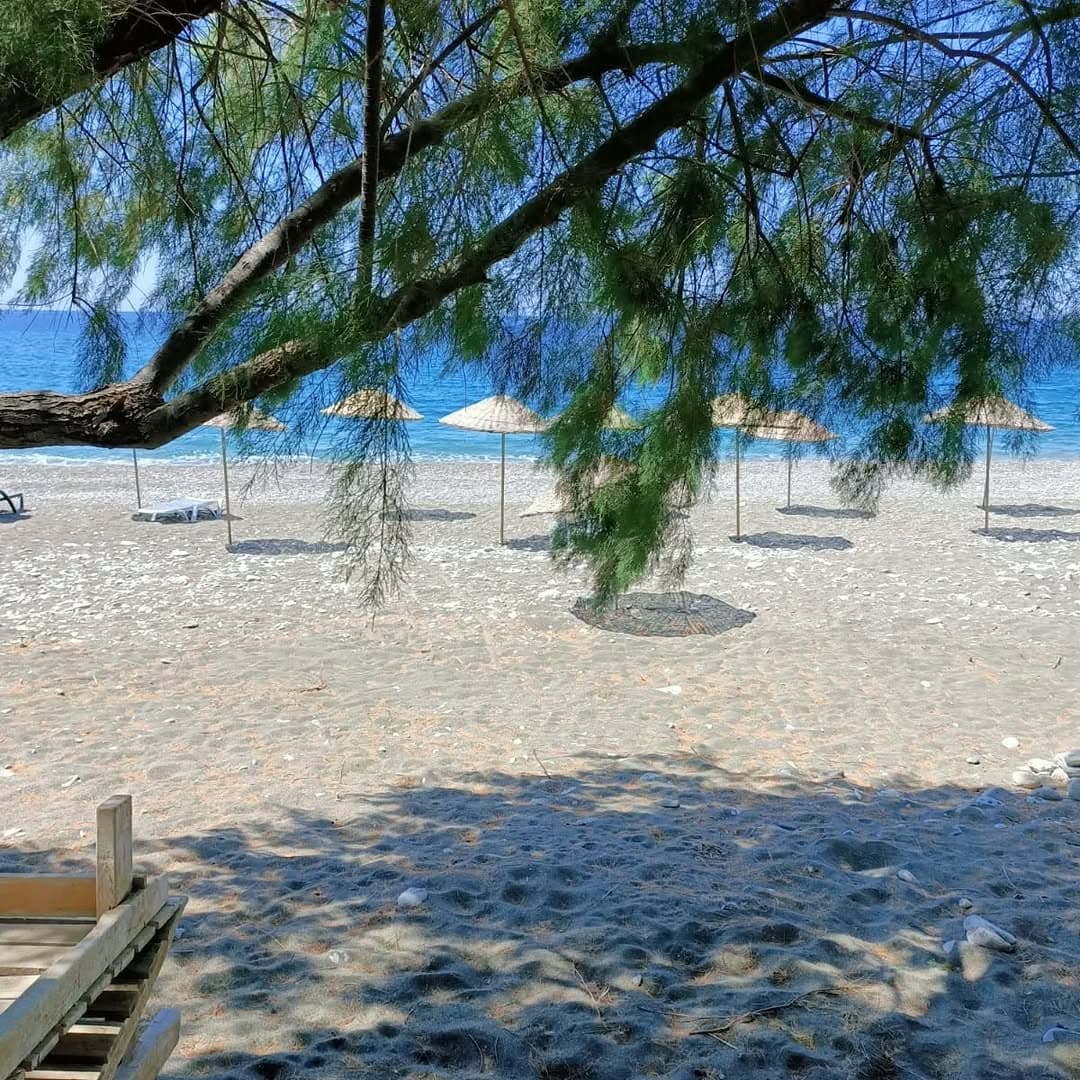 Bağ Evi Apart fotoğraf 23
